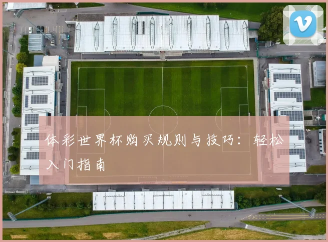 体彩世界杯购买规则与技巧:轻松入门指南