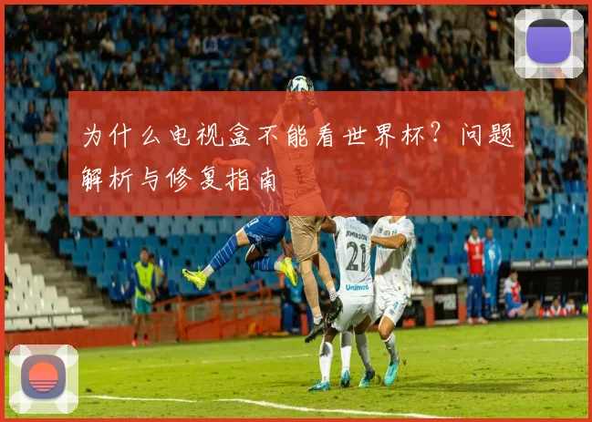 为什么电视盒不能看世界杯？问题解析与修复指南