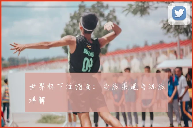 世界杯下注指南:合法渠道与玩法详解