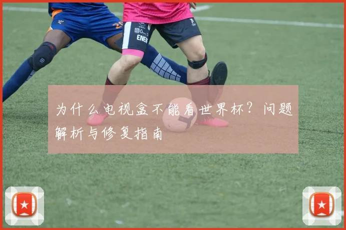 为什么电视盒不能看世界杯？问题解析与修复指南